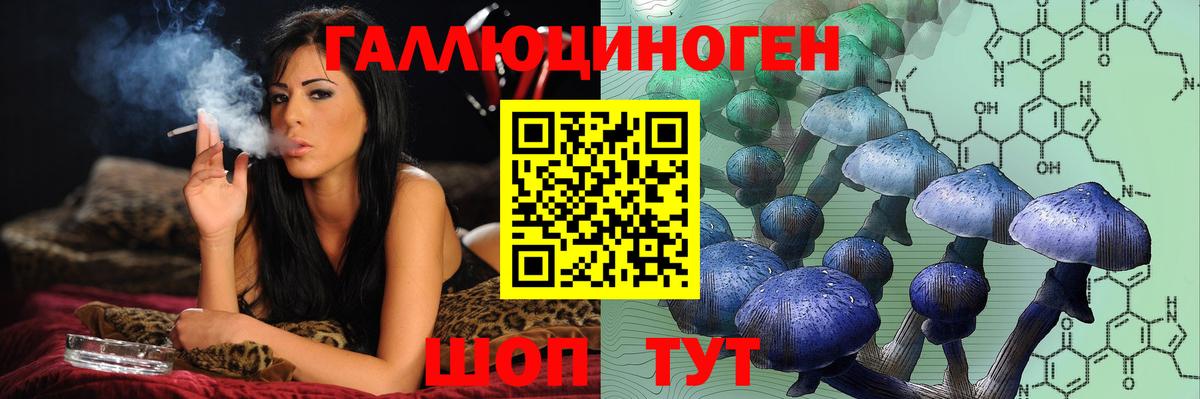 Галлюциногенные грибы Psilocybe  Вход с VPN  Галлюциногенные грибы мицелий  Ульяновск 