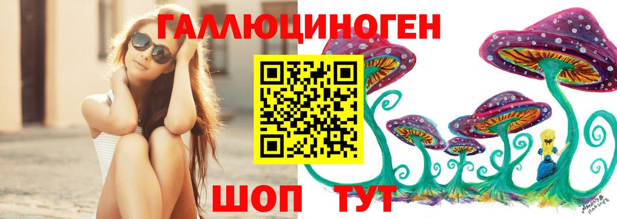Псилоцибиновые грибы Psilocybine cubensis Ульяновск